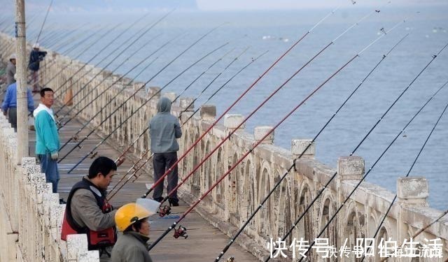 路亚竿|野钓为何不喜欢海竿阵渔获是其次，主因实属无奈