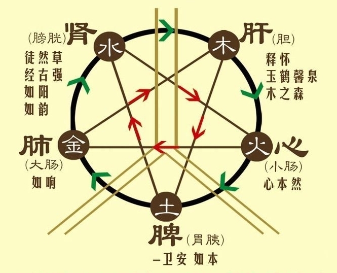 生活习惯|人体的自愈力就是大药房，学会养生你就是医生