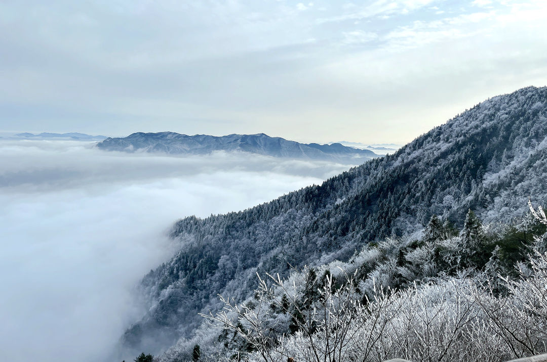 雾凇|景宁敕木山顶雾凇美 新年登高步步高