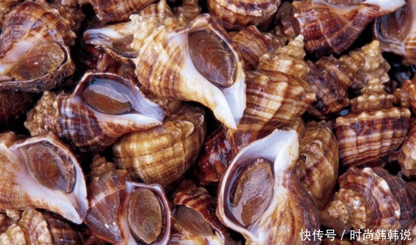 海边|海边人眼中的“脏海鲜”,大多数人不吃,不懂的人恨不得天天吃!