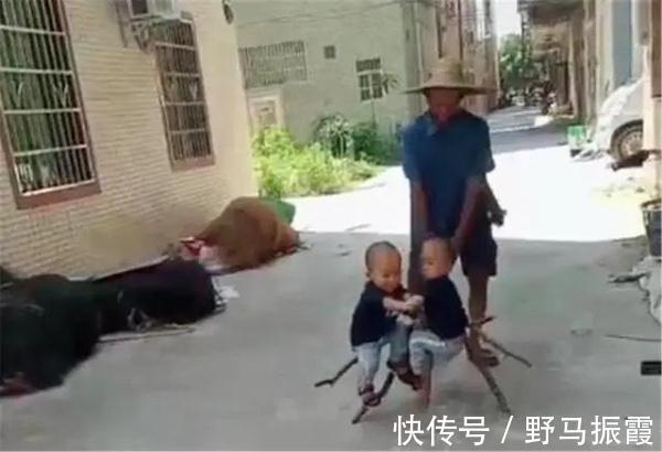 双胞胎|太爷爷遛娃神车火了，双胞胎玩嗨了，网友：再好的玩具车也比不上