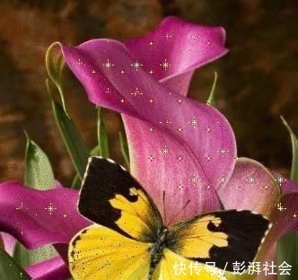 人心!良言20句,见证人心,看透人性看一次胜读十年书