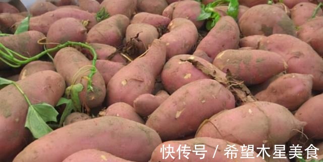 原来保存红薯这么简单!教你一招,放1年不烂不发芽,还软糯香甜!