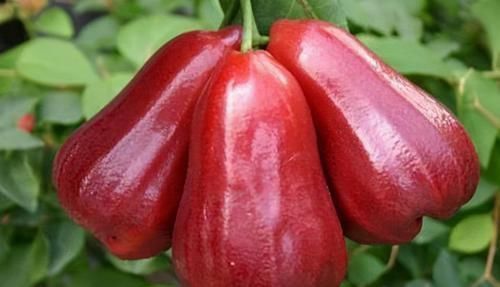 护肤|女性不愿老太快，推荐吃3种食物，排毒养颜、美容护肤，增强体质