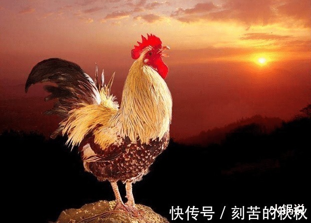 澹台灭明#古语说“语迟终显贵,步紧必定穷”,啥意思你是“贵人相”吗