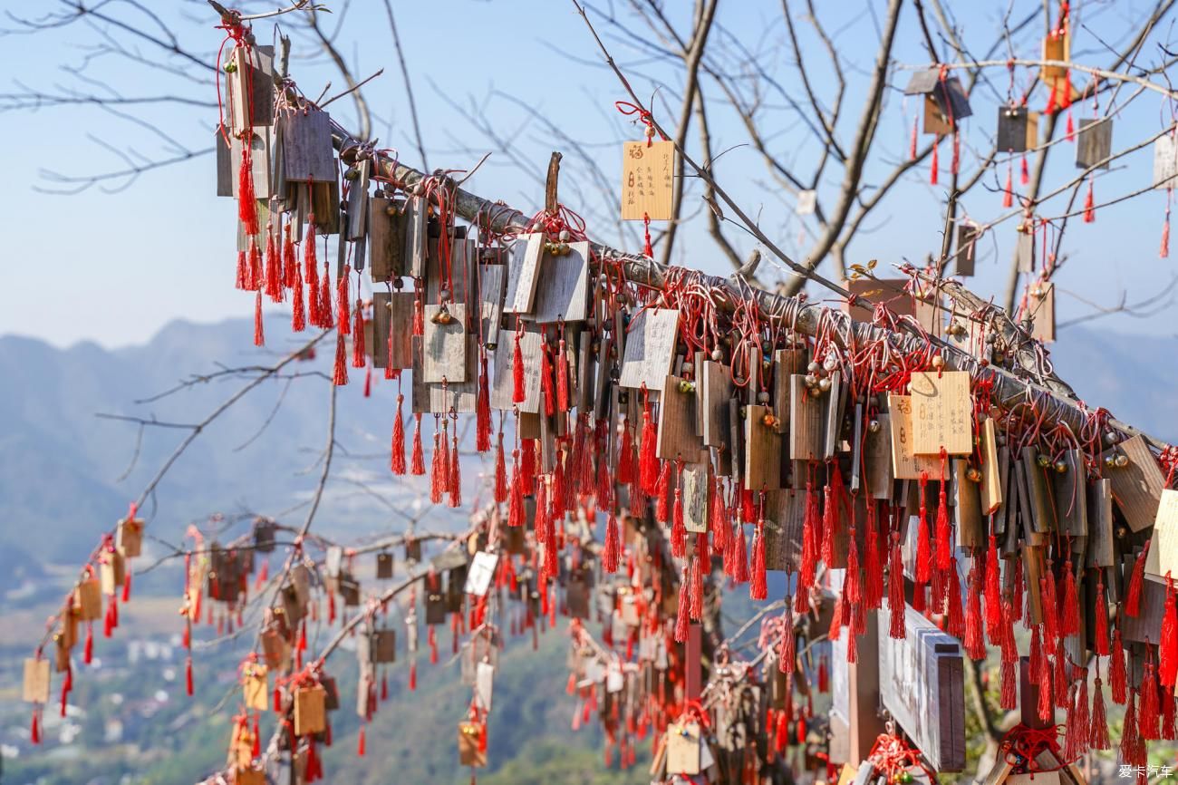 银杏叶|银杏叶落满天金黄，不妨来建德邂逅一场曼妙的深秋。