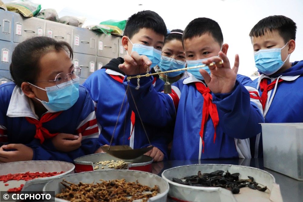 中医|体验中医文化 迎接“世界传统医药日”