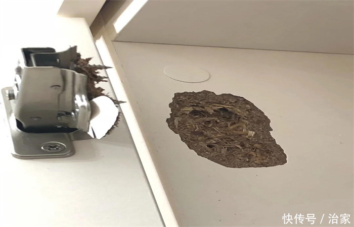 定制柜|在装修时，定制家具品牌为什么都不用纯实木做定制柜呢？