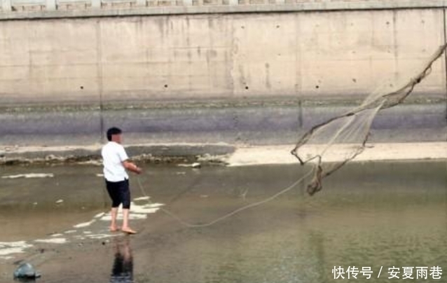 淡定|大爷从河里捞出几条鱼,之后网友不淡定了:太贪心!