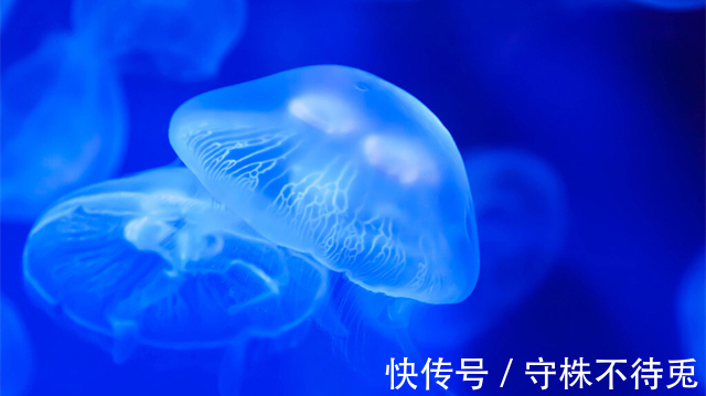 22个冷知识:看起来好像有点大病,但也经得住推敲的有趣知识