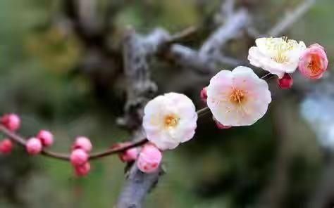 孩子|为人父母，千万不要穷养孩子，不然会留有一生遗憾