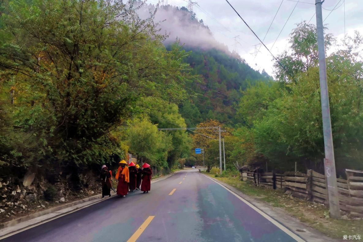 独自自驾游 欣赏最美的岗云杉林 体验环藏之旅的慢生活