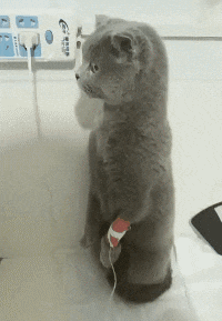 |搞笑GIF:妹子,你是在直播吧,是不是忘记开过滤镜了?