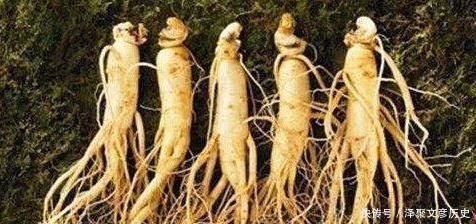 经验之谈|“老泄残精,人穷寿尽”,后一句同样精彩,古人的两句经验之谈