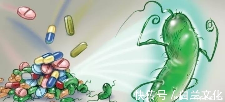 营养物质|胃部的“抑菌王”找到了,医生坦言:平时敞开吃,胃好不生病