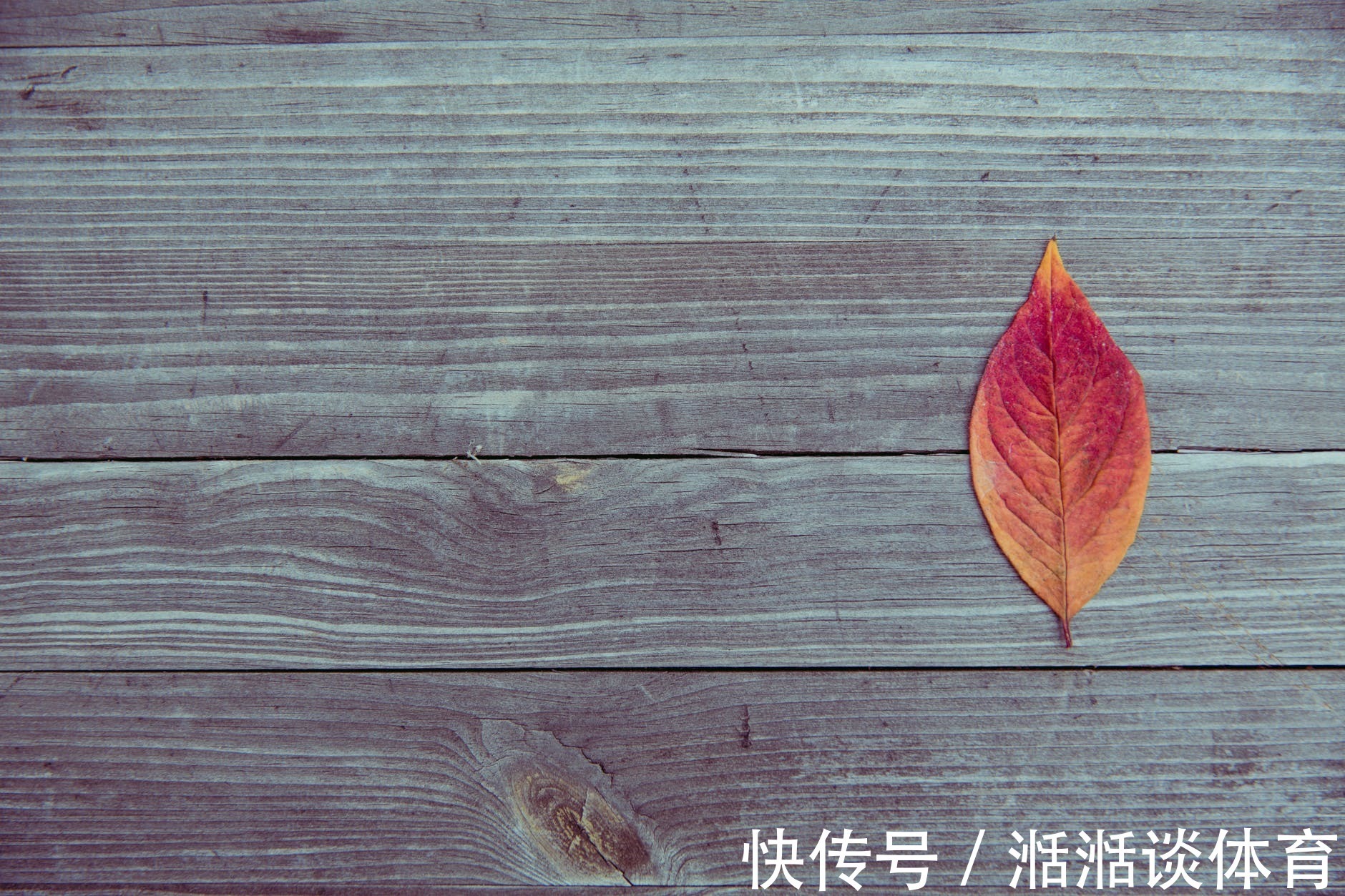 刘敏|“我们只有五万块了，你还想做什么”“给我买套房”