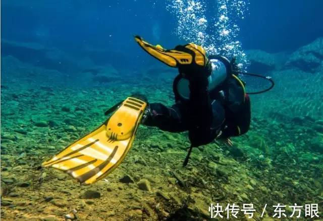 《钓鱼》的结局，惊醒无数人！