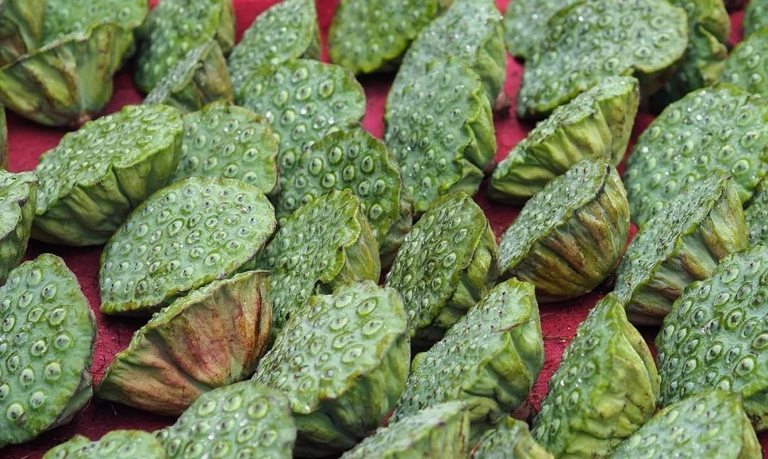 莲须|一物“六药”,全身都是宝!清心安神,补脾止泻,搭配这4种方法效果更好