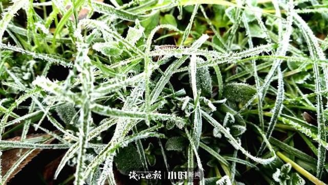 开工第一天 满目春色入镜来，摄友说我们每天都“开工”