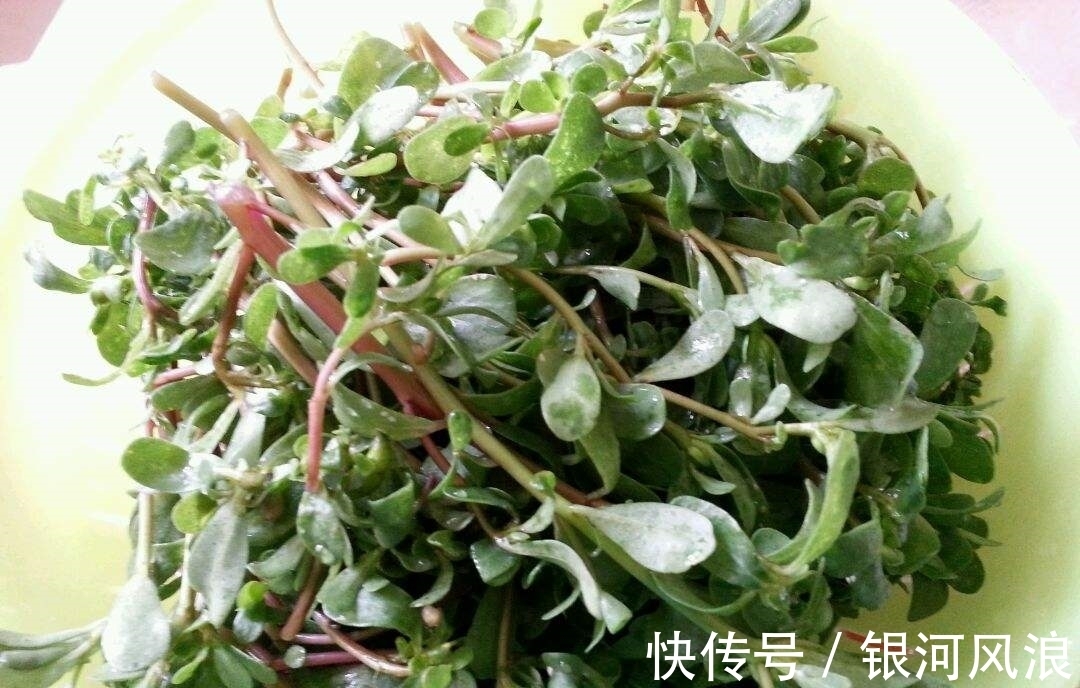 湿热|女人常吃此物,保养卵巢,子宫越来越健康,远离妇科炎症