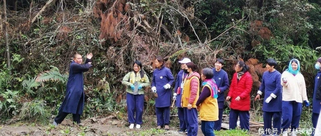 天问|观天问禅——大佛寺禅修中心参学记