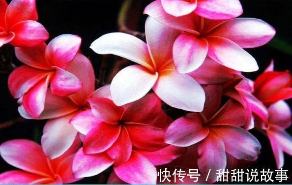 部下|《道德经》懂得此理,就懂得“完美”的内涵!