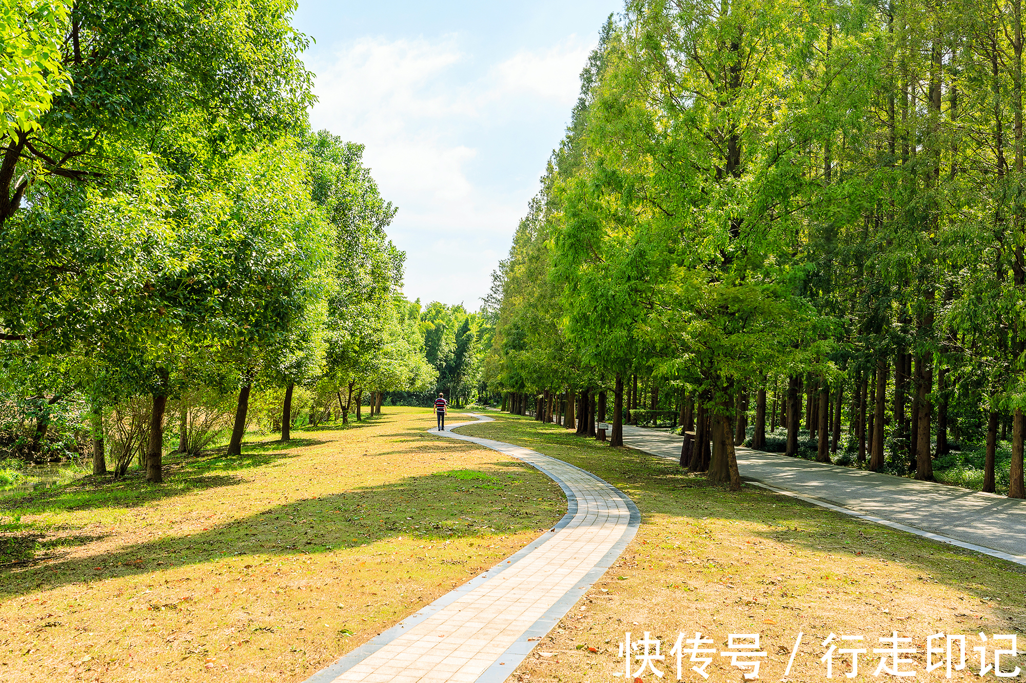 江南|同里湿地已入秋，来尝尝江南的“卡路里炸弹”