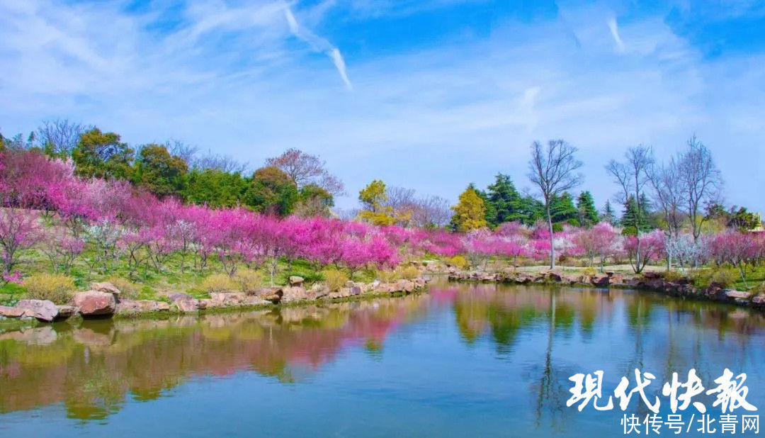 美景、美食、非遗……多彩瘦西湖等您来“探春”