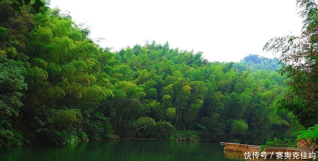 四川这个“天然氧吧”，一年四季都有竹笋吃，距宜宾1