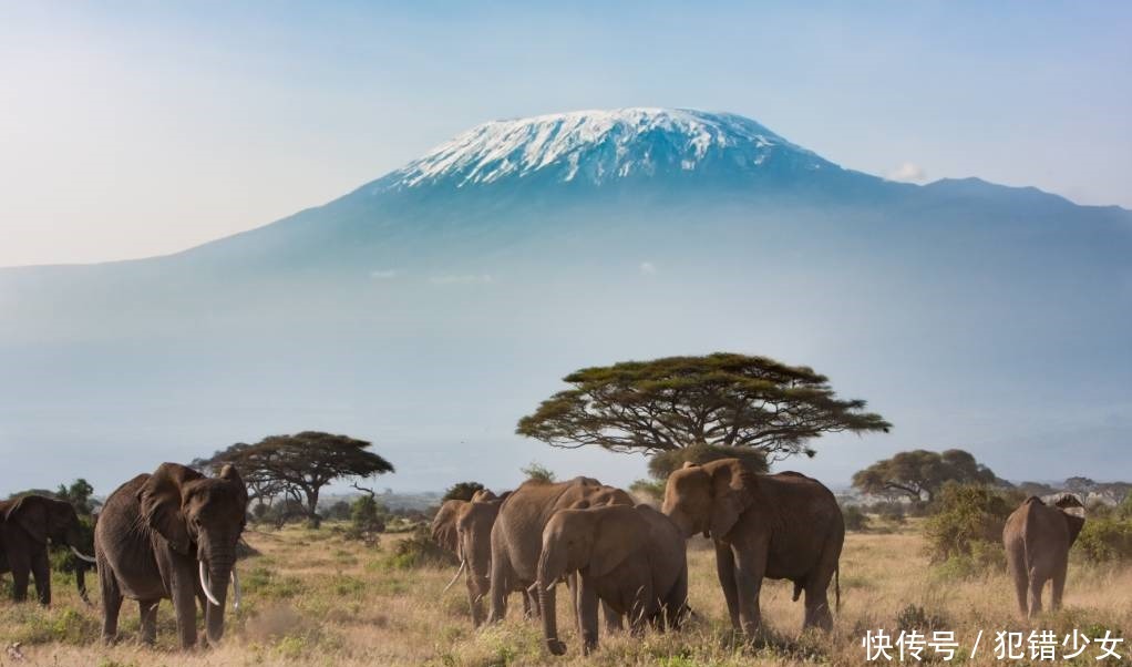 世界各大洲最高峰盘点