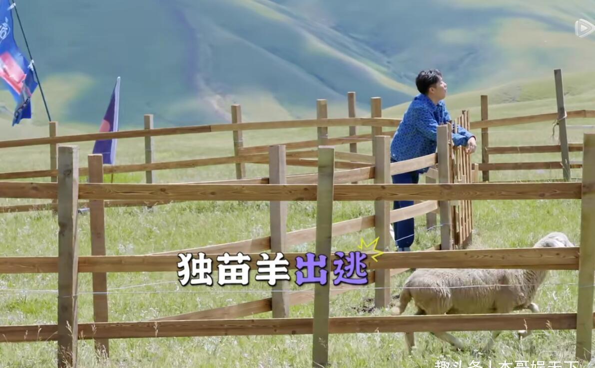 郭德纲|张鹤伦分高却输了,其实一是因为郭麒麟,二是团综有bug需要调整