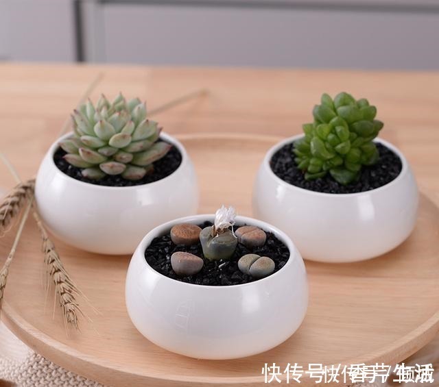 木塑板|我滴妈呀! 这户人真聪明, 只需在阳台加这个, 即使天天下雨也不愁!