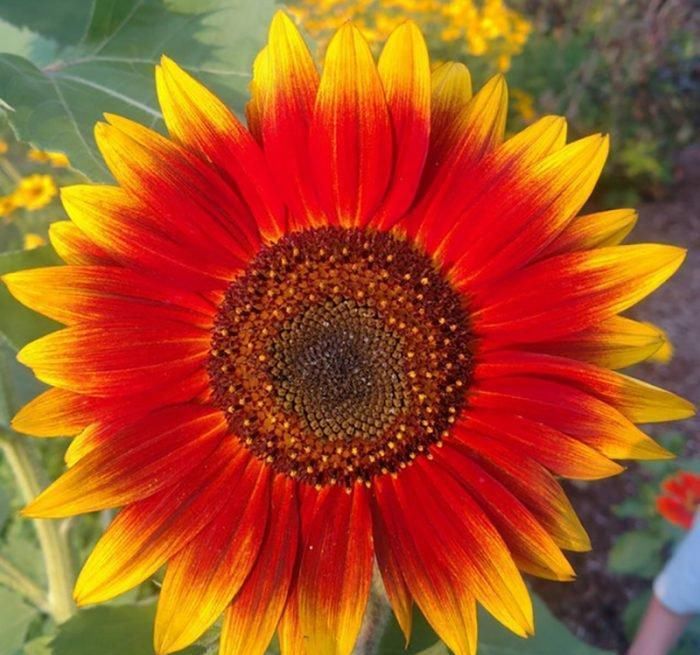 14张给强迫症患者带来满足感的画面