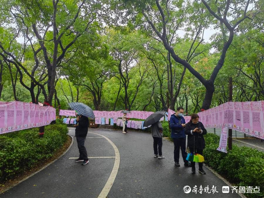 相亲大会|雨中情！千佛山相亲大会开幕第二天，现场浓情满满