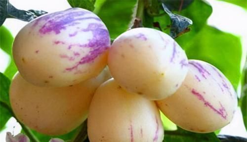 维生素c|冬天来了,常吃以下3种食物,排毒养颜,还你白嫩肌肤,早吃早好