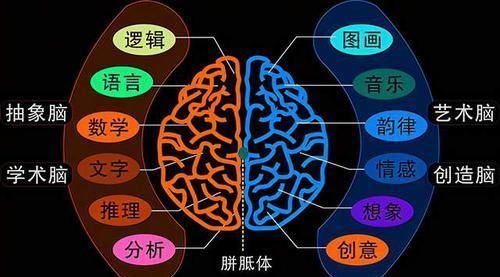 心理年龄|为什么男孩大多开窍晚?婴儿时期,男宝的大脑发育就已落后于女孩