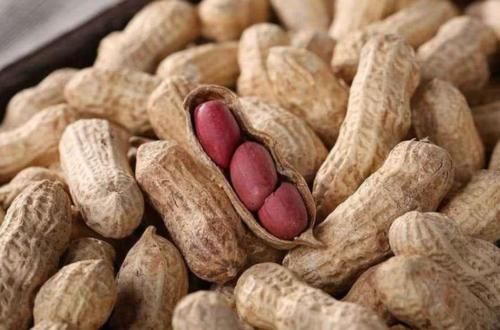 吃花生会伤肝？血脂也会升高？三高人群正确吃花生或许对身体有益