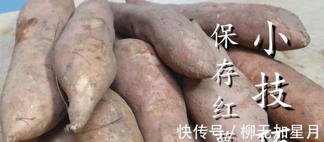 红薯保存不好容易烂学会这2个小窍门,越放越甜,一年不会坏!