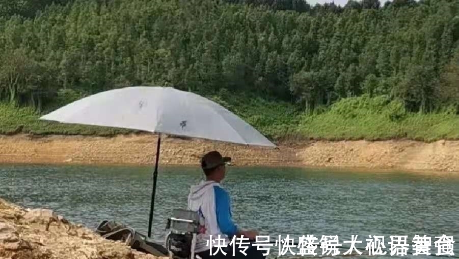 钓点鱼星一大片,谁料无鱼吃饵,二十年老司机道破实情,服了
