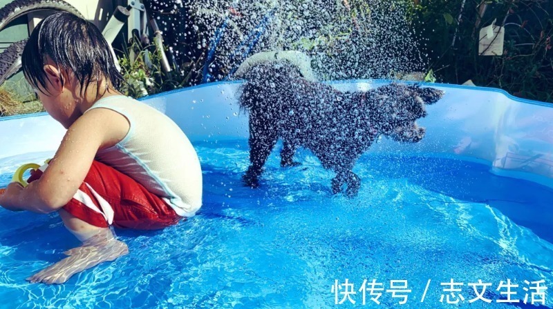 面对镜头|夫妇变闺蜜？一家三口玩cosplay，结果爸爸成了女装大佬