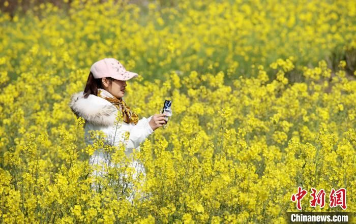 民众|广西山区万亩油菜花盛开迎客来