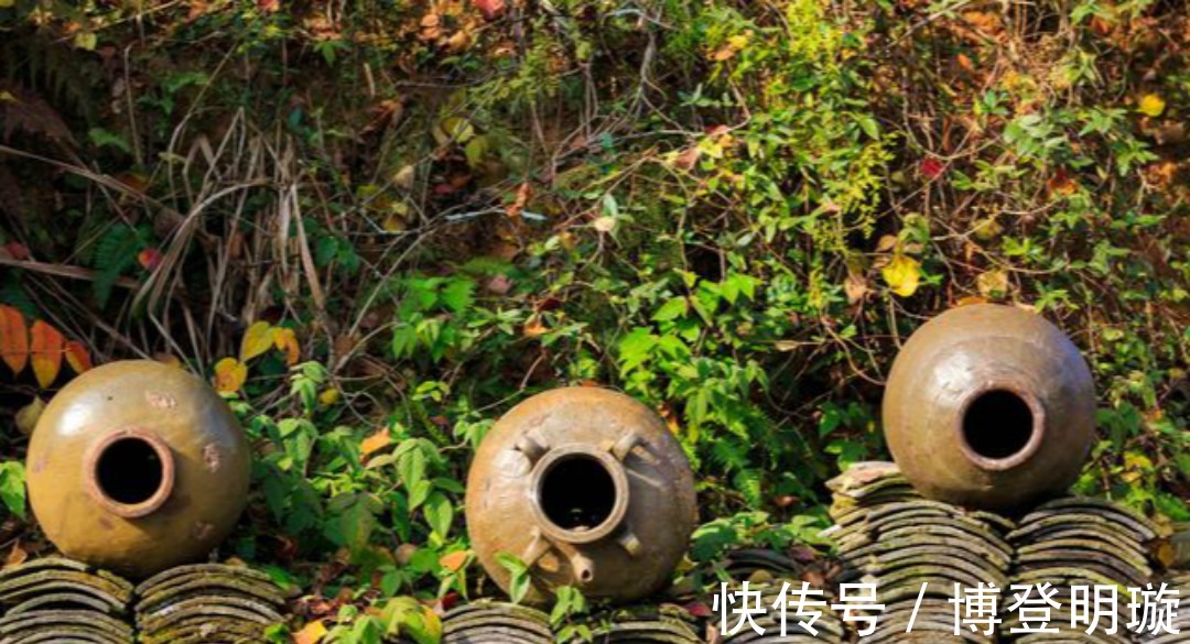 很一般|王安石很经典的一首禅诗,初读觉得很一般,长大后才真正读懂!