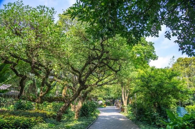 南宁这处5A级景区，门票只要20元，站在山顶城市风光尽收眼底