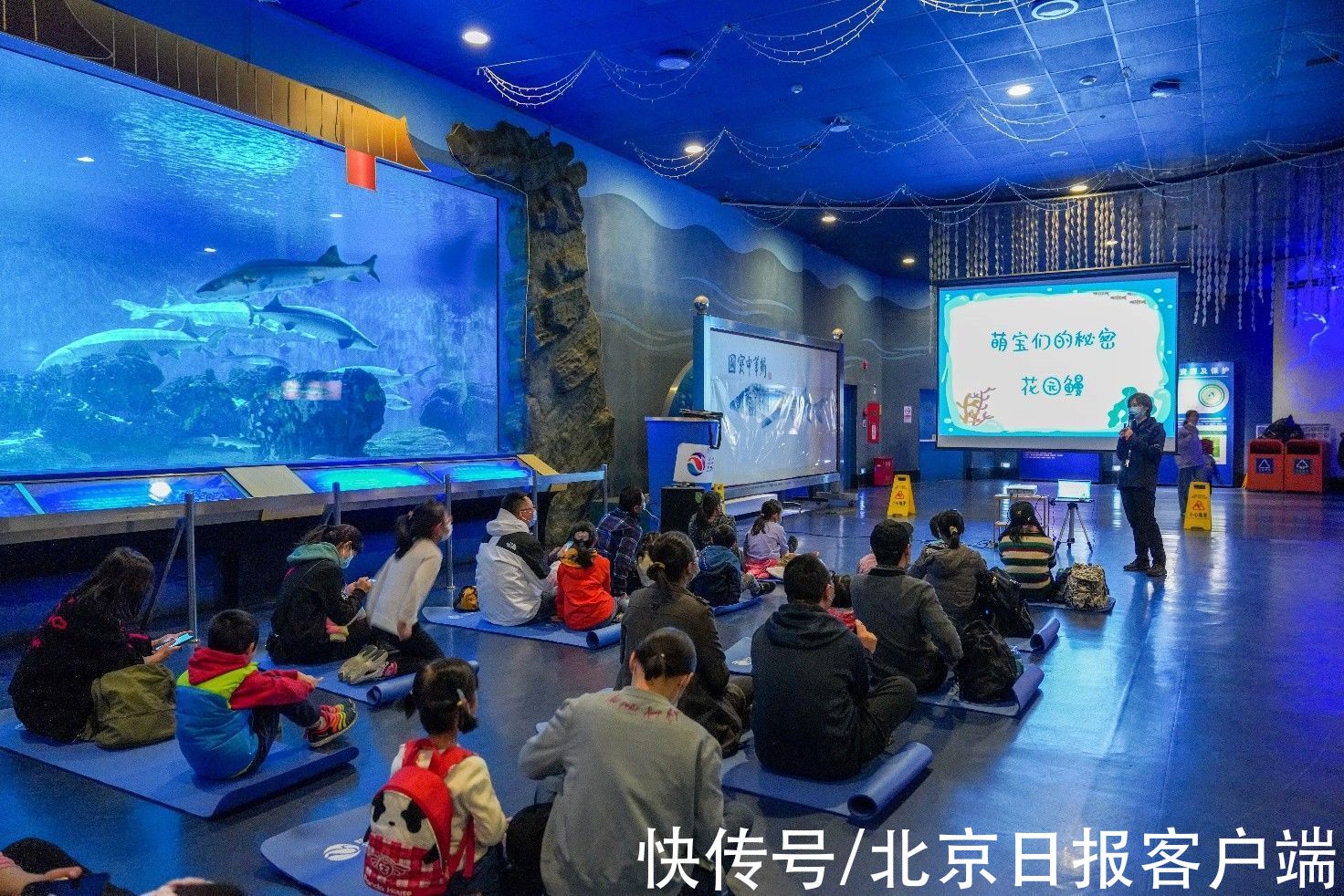 饲养员|北京海洋馆解锁新玩法，迎接放假的孩子