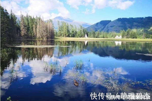 喀纳斯湖|中国最美的四大湖泊，每一个皆是罕见的世间美景，你有去过几个