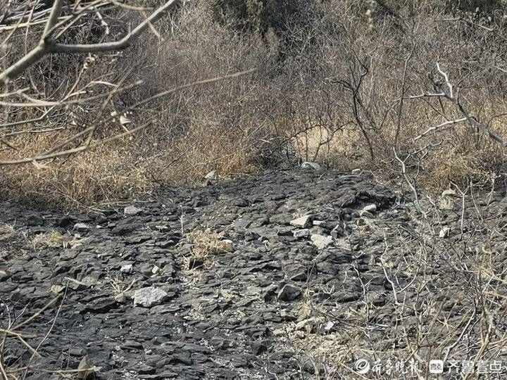 临朐|鬼斧神工！记者带您了解临朐朐山火山口