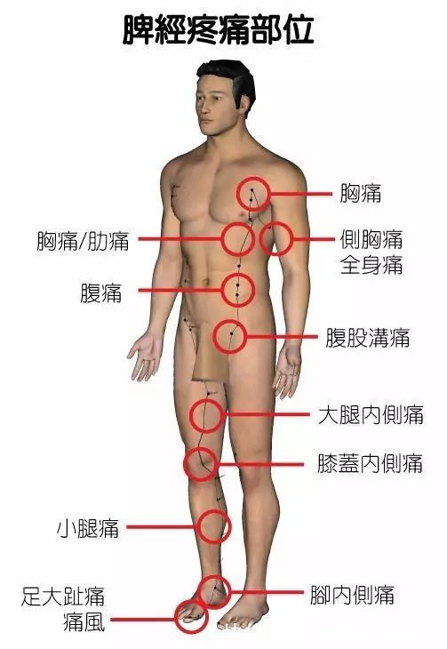对照表|身体疼痛对照表,看看你到底是哪儿堵了?