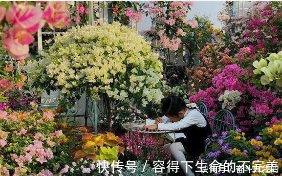 她在院里养了一种花，3年之后美如画，见到的人都说像仙境！