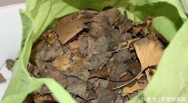 此些东西养花特别好,盆土一年不板结,花草长得旺、开的多又艳