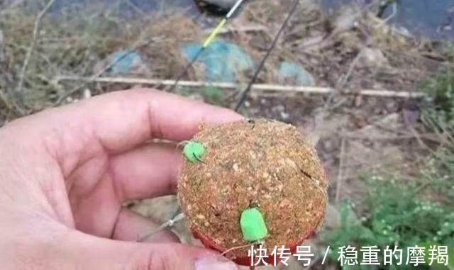 专攻|据说这钓法专攻“大鲤鱼”，每次抛竿入水都有口，连鲫鱼都不想钓